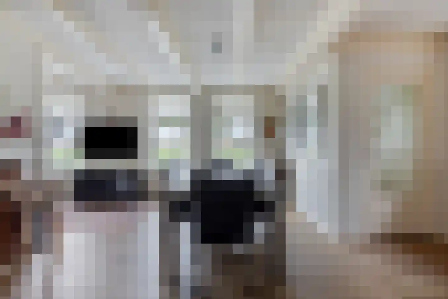 't Nopeind 14 Amsterdam thumbnail 10