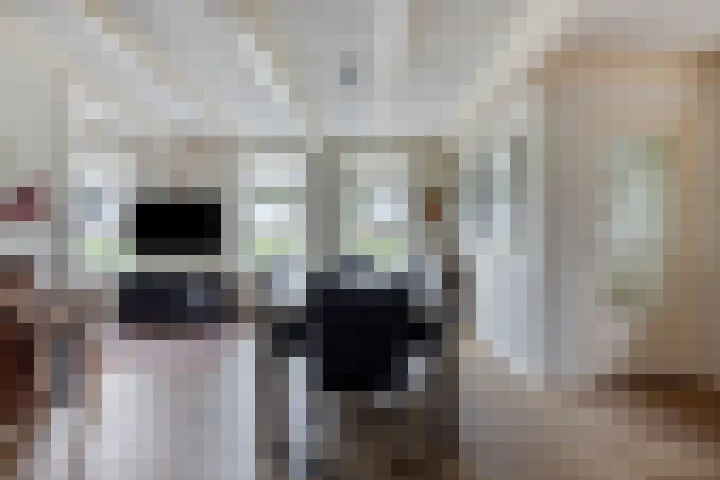 't Nopeind 14 Amsterdam thumbnail 20
