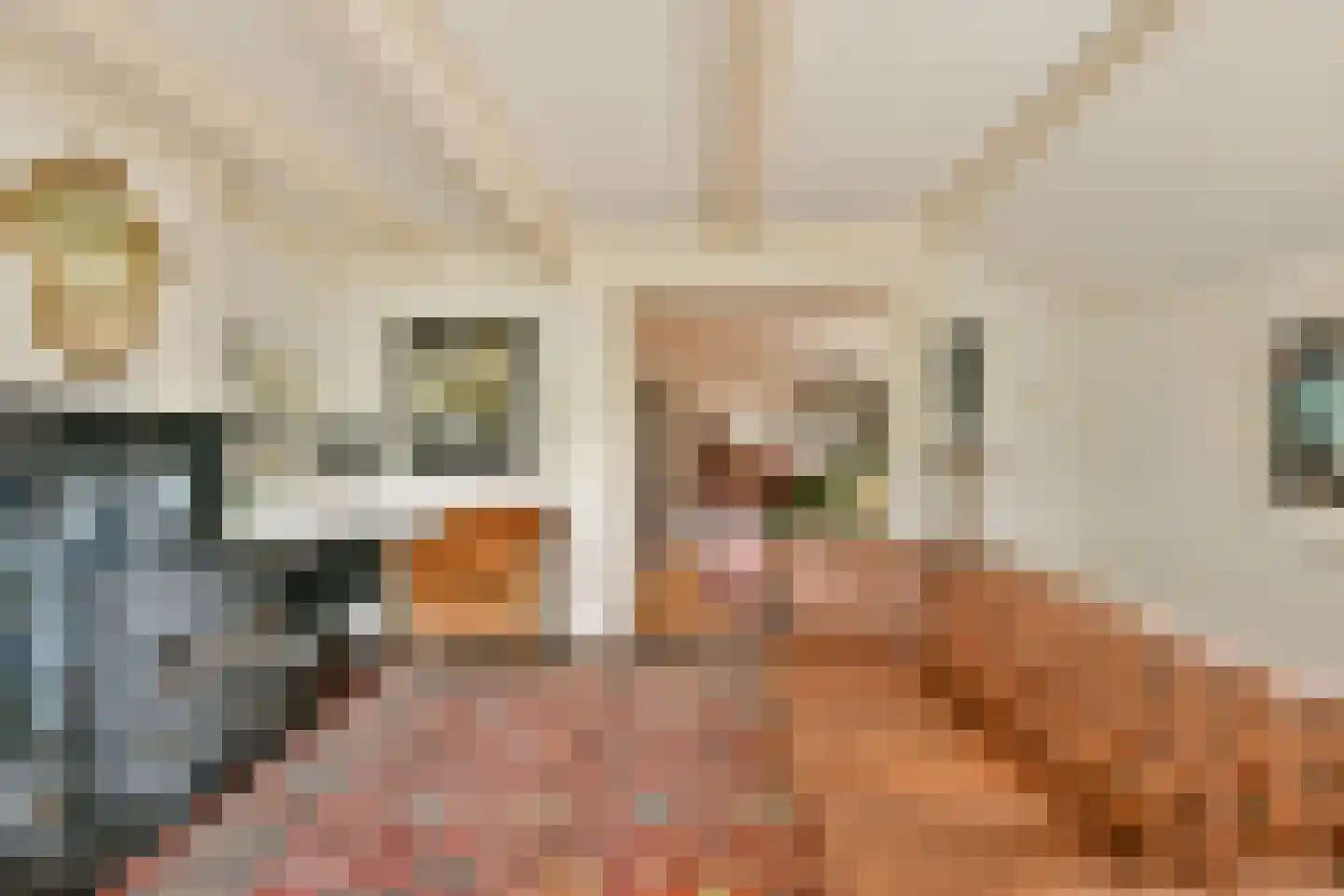 't Nopeind 14 Amsterdam thumbnail 5