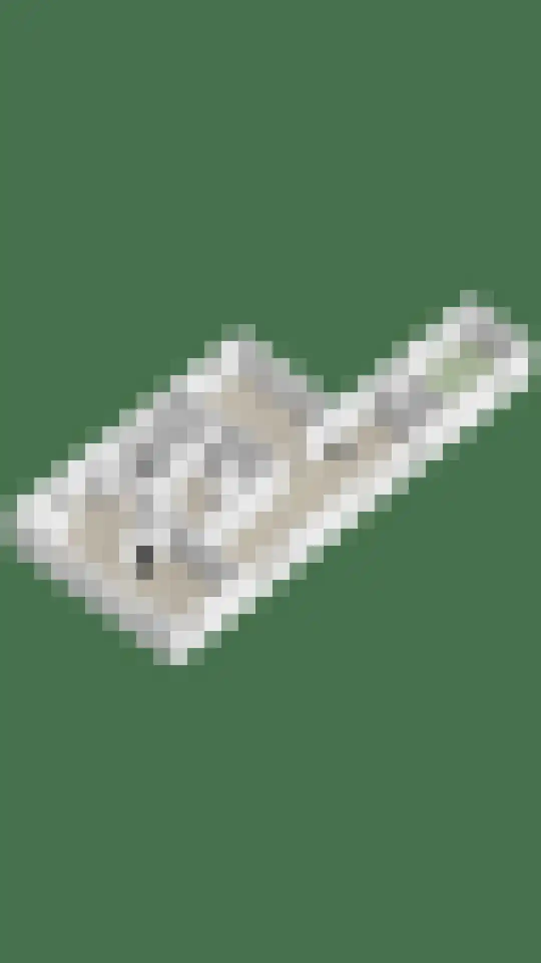 't Nopeind 14 Amsterdam thumbnail 63