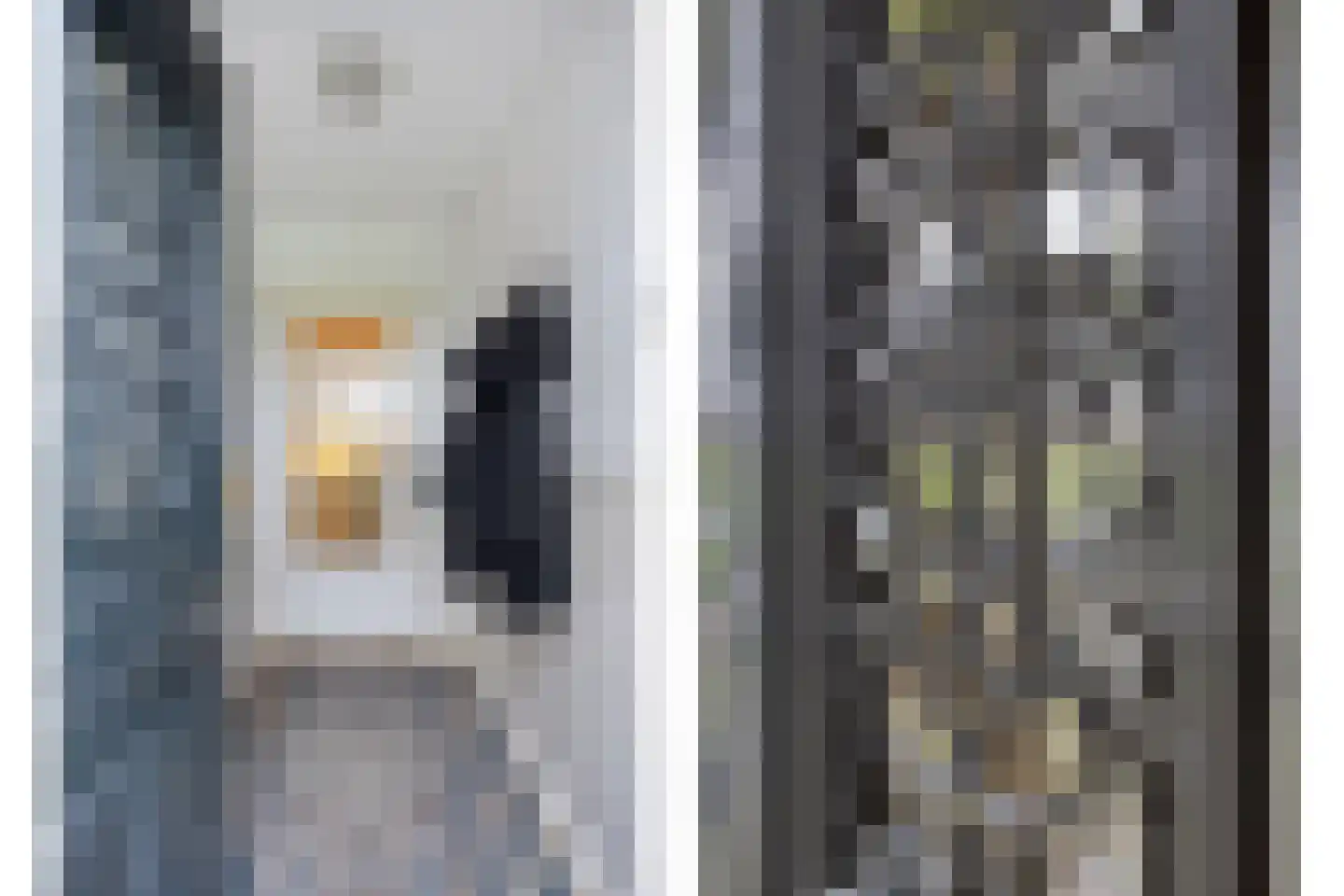 't Nopeind 14 Amsterdam thumbnail 7