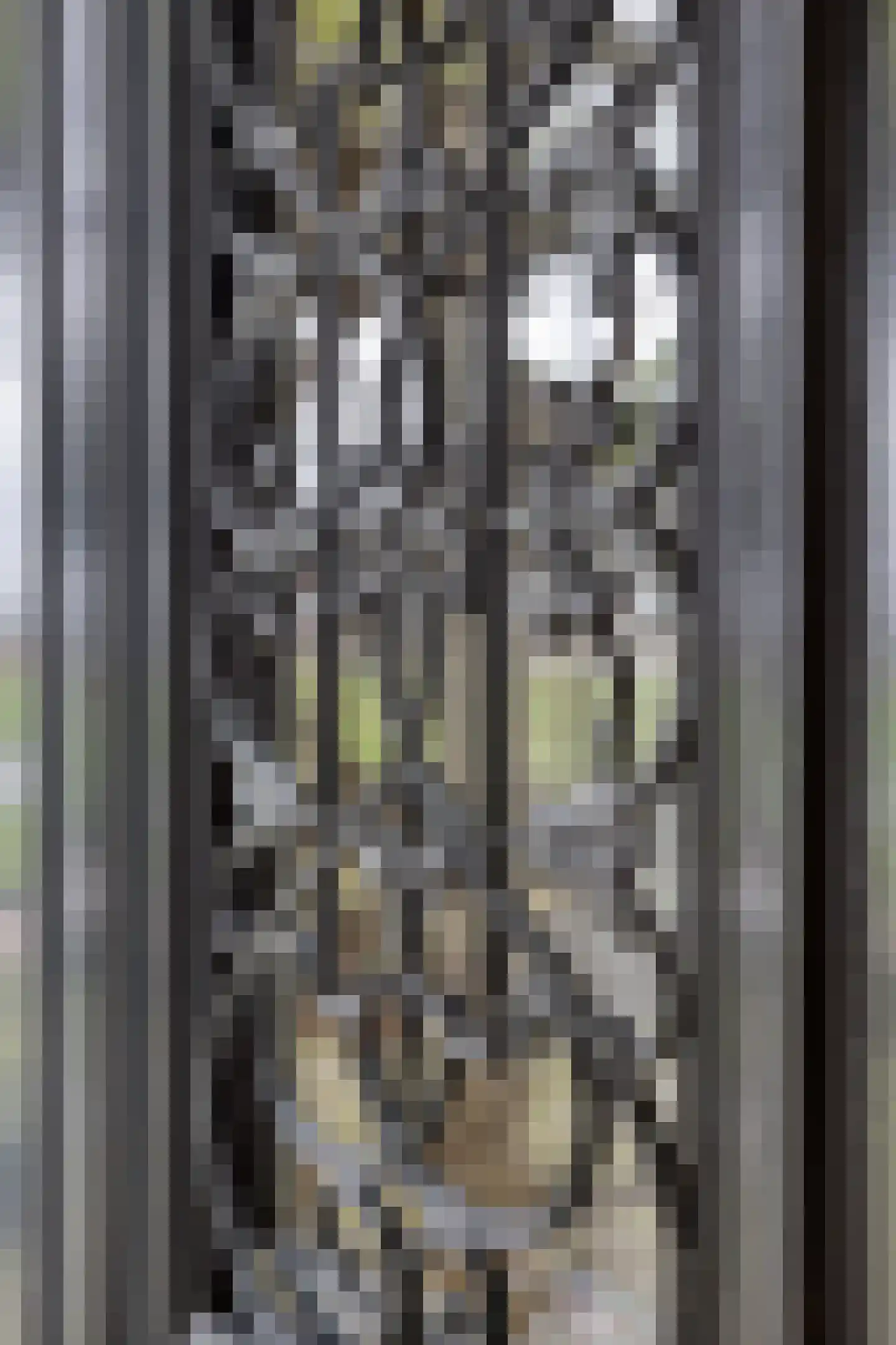 't Nopeind 14 Amsterdam thumbnail 8