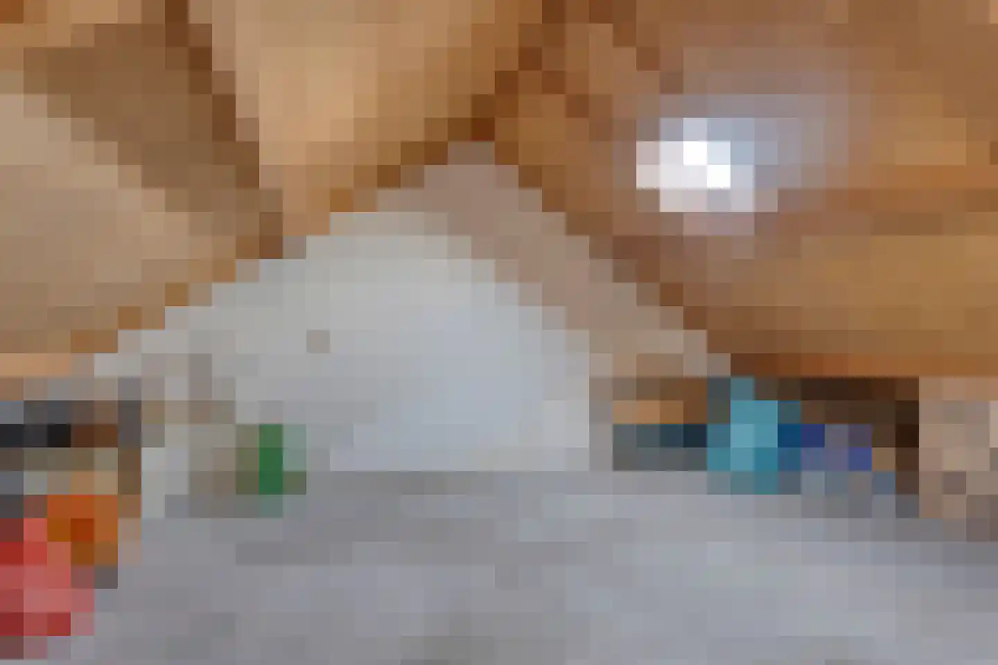 't Oelbred 3 Tolbert thumbnail 17