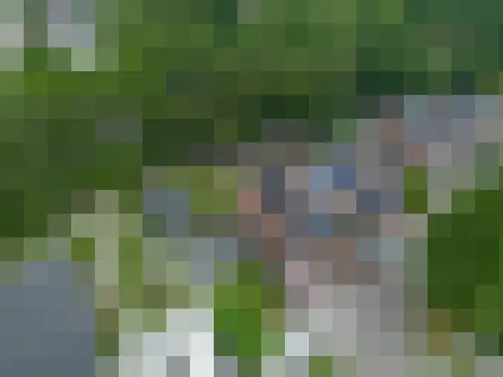 't Oelbred 6 Tolbert thumbnail 10