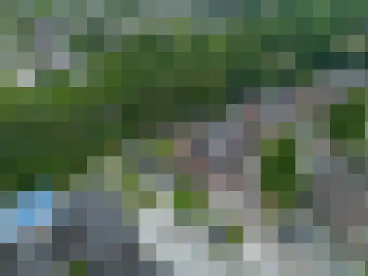 't Oelbred 6 Tolbert thumbnail 12
