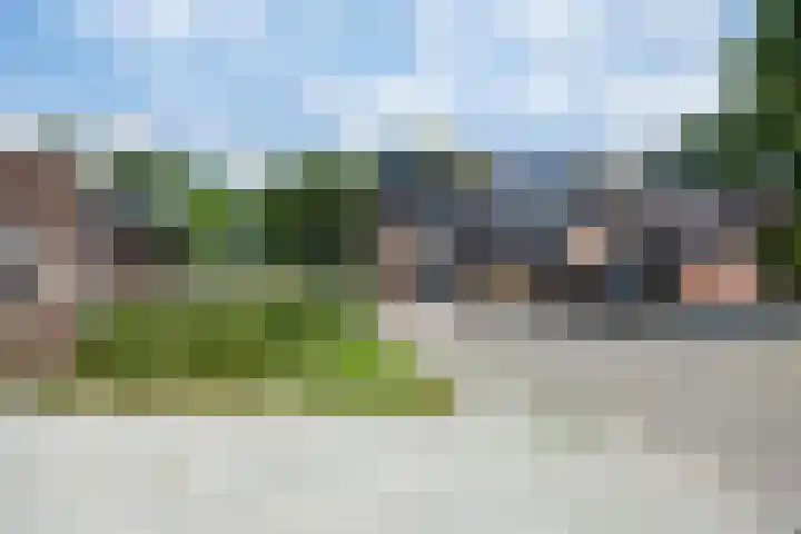 't Oelbred 6 Tolbert thumbnail 13
