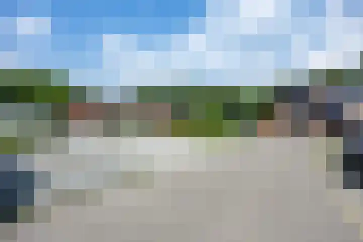 't Oelbred 6 Tolbert thumbnail 17
