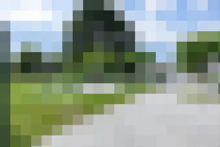 't Oelbred 6 Tolbert thumbnail 18