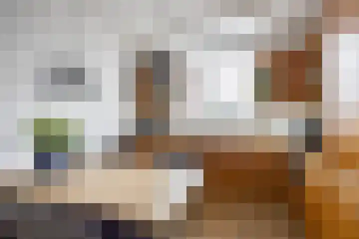 't Oelbred 6 Tolbert thumbnail 33