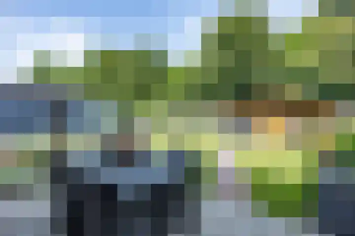 't Oelbred 6 Tolbert thumbnail 57