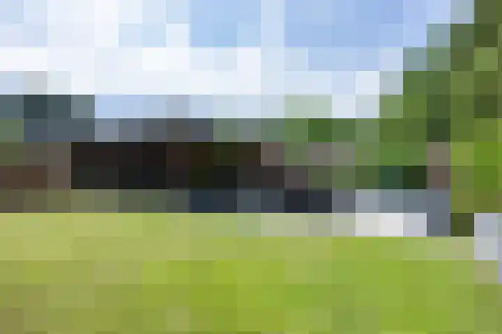 't Oelbred 6 Tolbert thumbnail 6