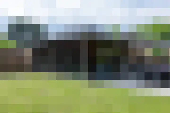 't Oelbred 6 Tolbert thumbnail 61