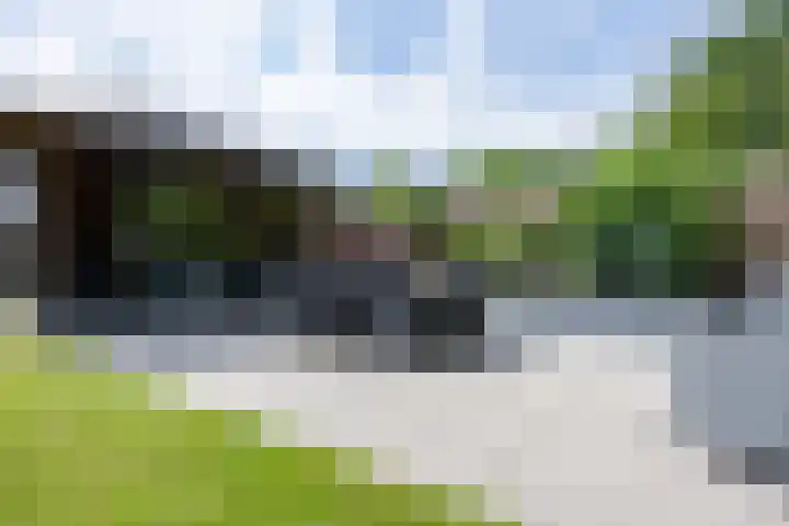 't Oelbred 6 Tolbert thumbnail 62