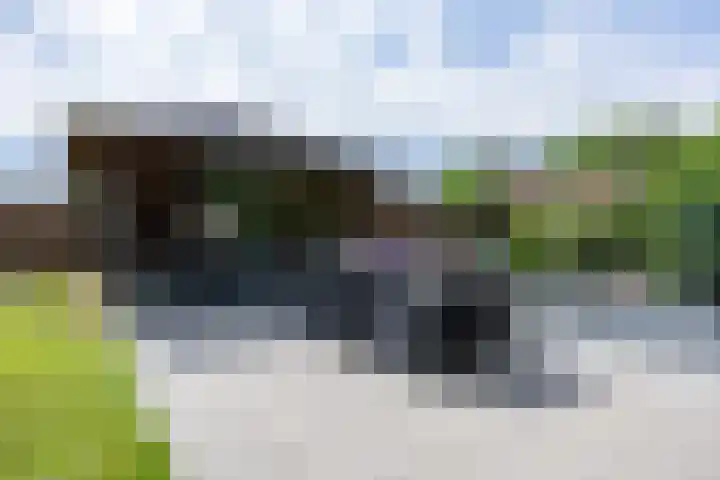 't Oelbred 6 Tolbert thumbnail 63