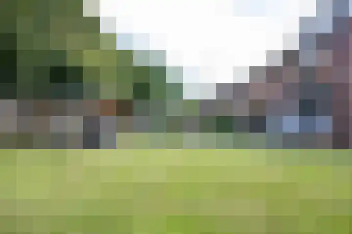 't Oelbred 6 Tolbert thumbnail 69