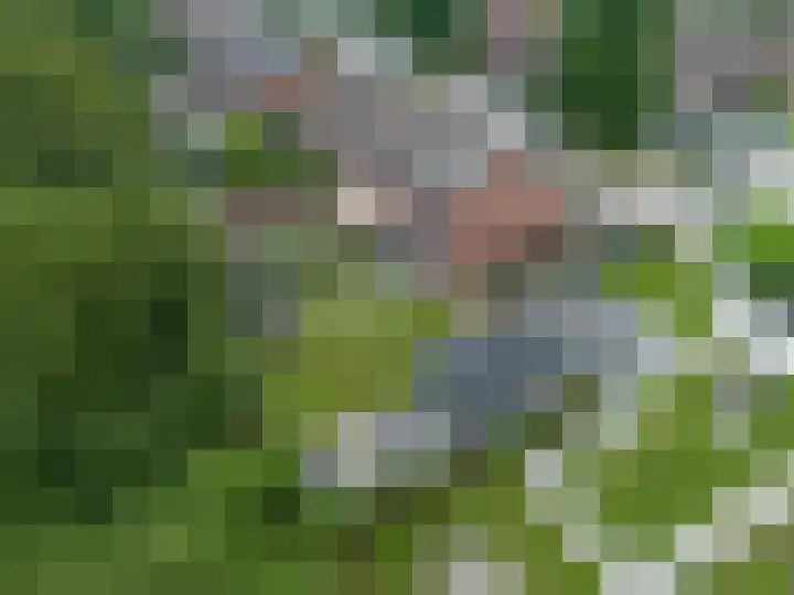 't Oelbred 6 Tolbert thumbnail 76