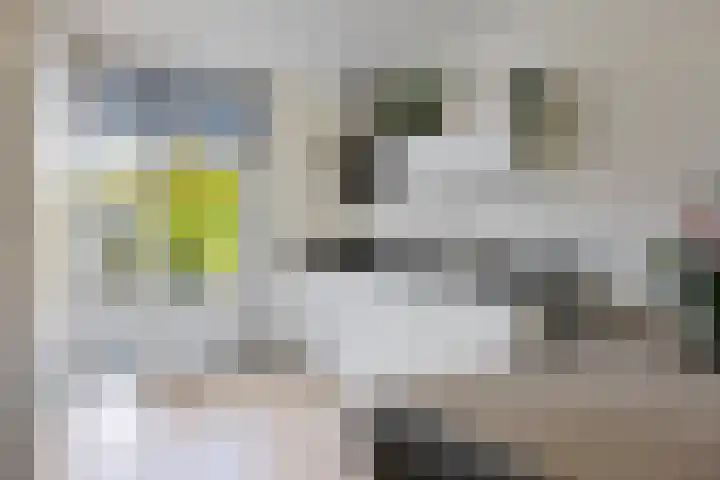 't Oelbred 7 Tolbert thumbnail 11