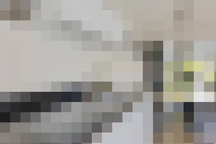 't Oelbred 7 Tolbert thumbnail 12