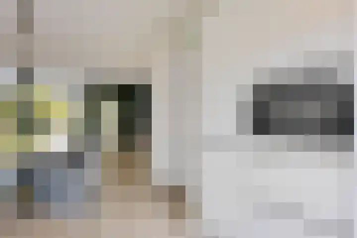 't Oelbred 7 Tolbert thumbnail 14