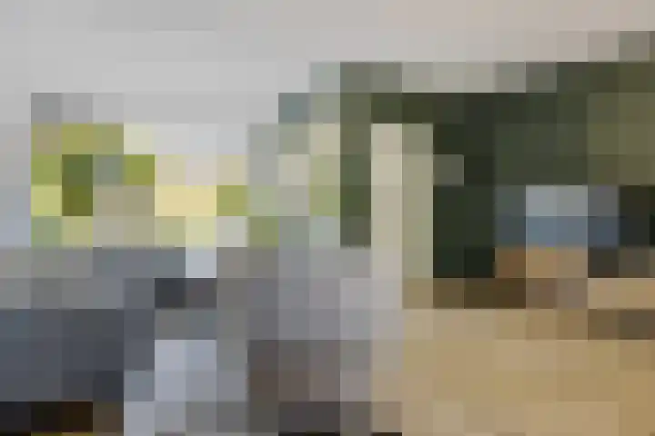 't Oelbred 7 Tolbert thumbnail 4