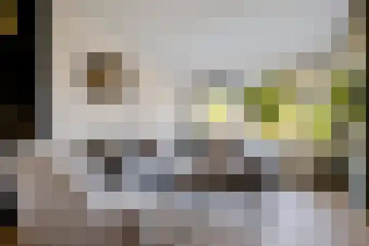 't Oelbred 7 Tolbert thumbnail 5
