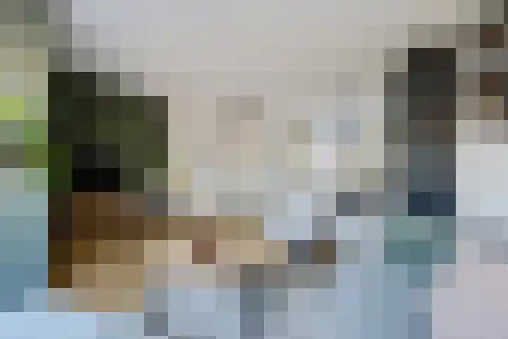 't Oelbred 7 Tolbert thumbnail 6