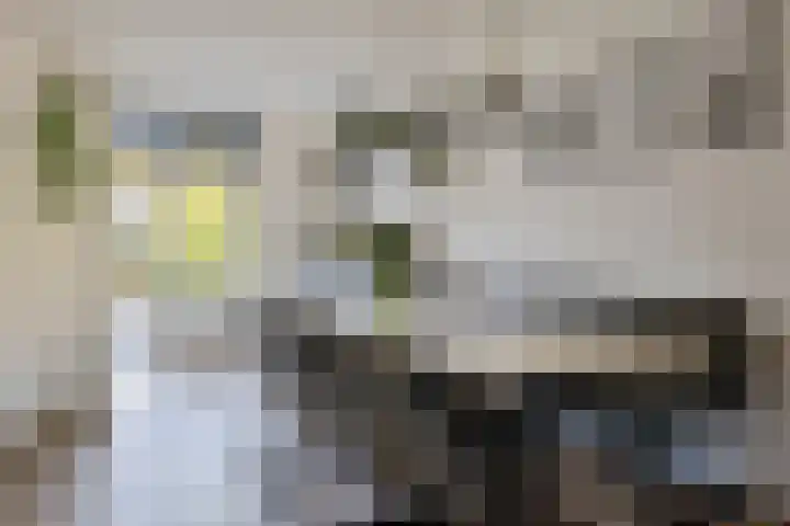 't Oelbred 7 Tolbert thumbnail 9