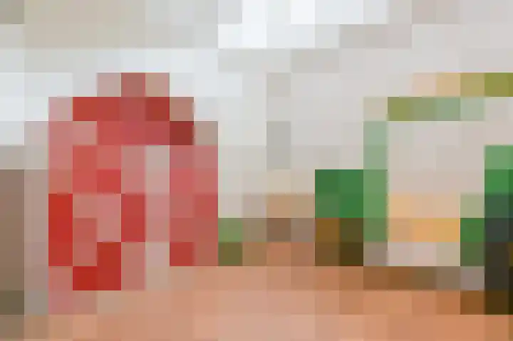 't Oeverstraat 13 Putten thumbnail 31