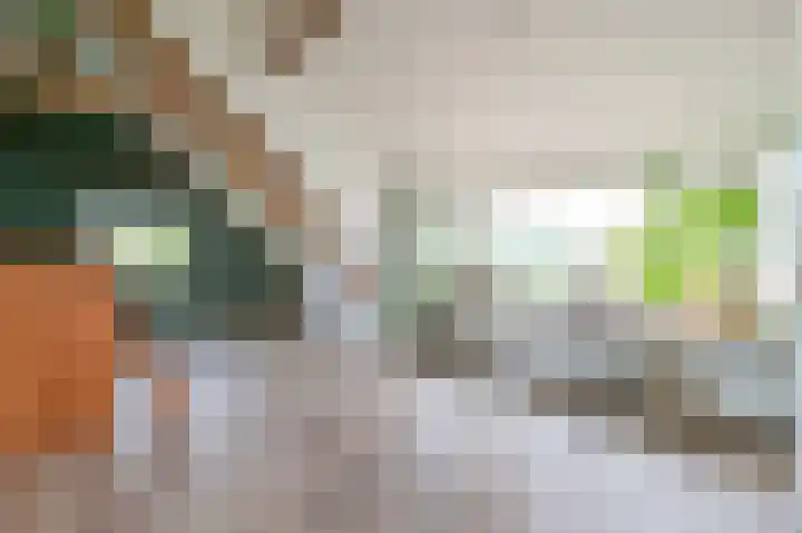 't Oeverstraat 13 Putten thumbnail 34