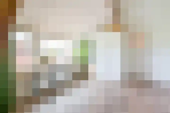 't Oeverstraat 13 Putten thumbnail 36