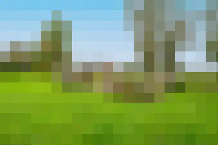 't Oeverstraat 13 Putten thumbnail 51