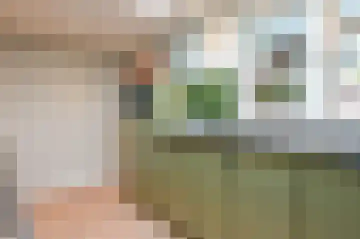 't Oeverstraat 13 Putten thumbnail 9