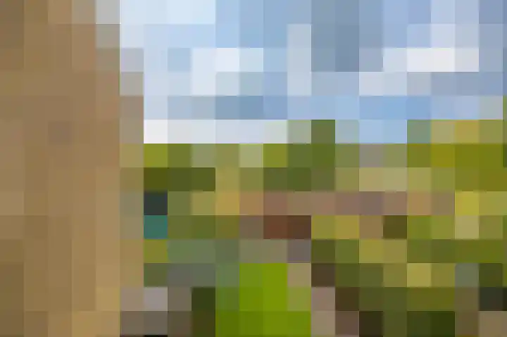 't Olde Hof 6 Winsum thumbnail 27