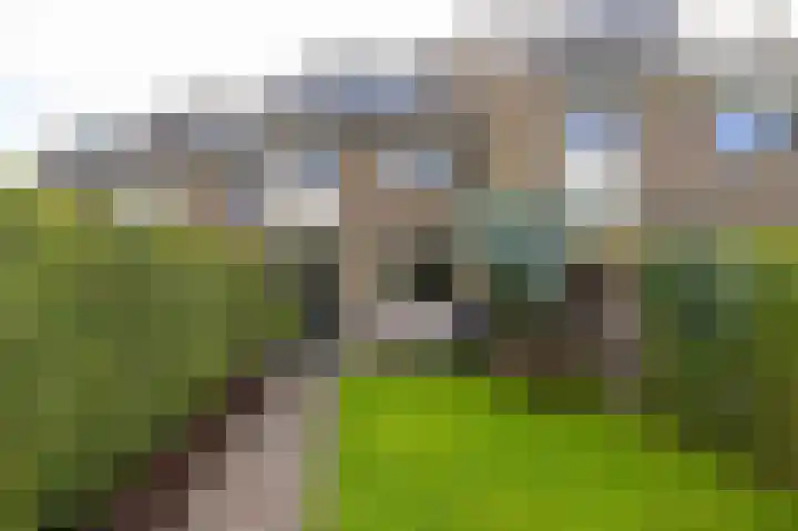 't Olde Hof 6 Winsum thumbnail 28