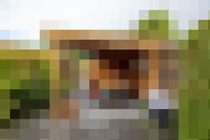 't Olde Hof 6 Winsum thumbnail 29