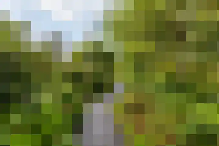 't Olde Hof 6 Winsum thumbnail 32