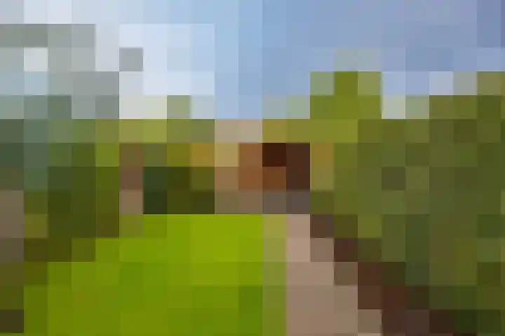 't Olde Hof 6 Winsum thumbnail 4