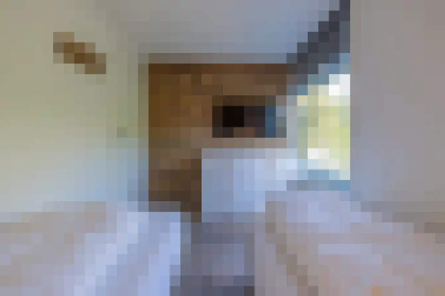 't Ongerepte 14 Renesse thumbnail 10