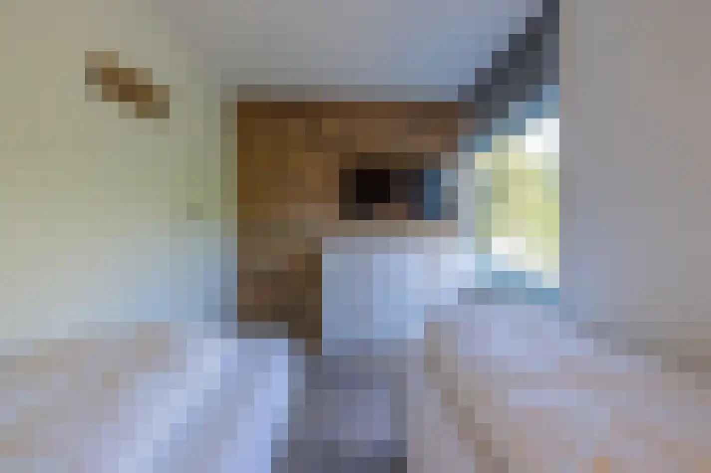 't Ongerepte 14 Renesse thumbnail 11