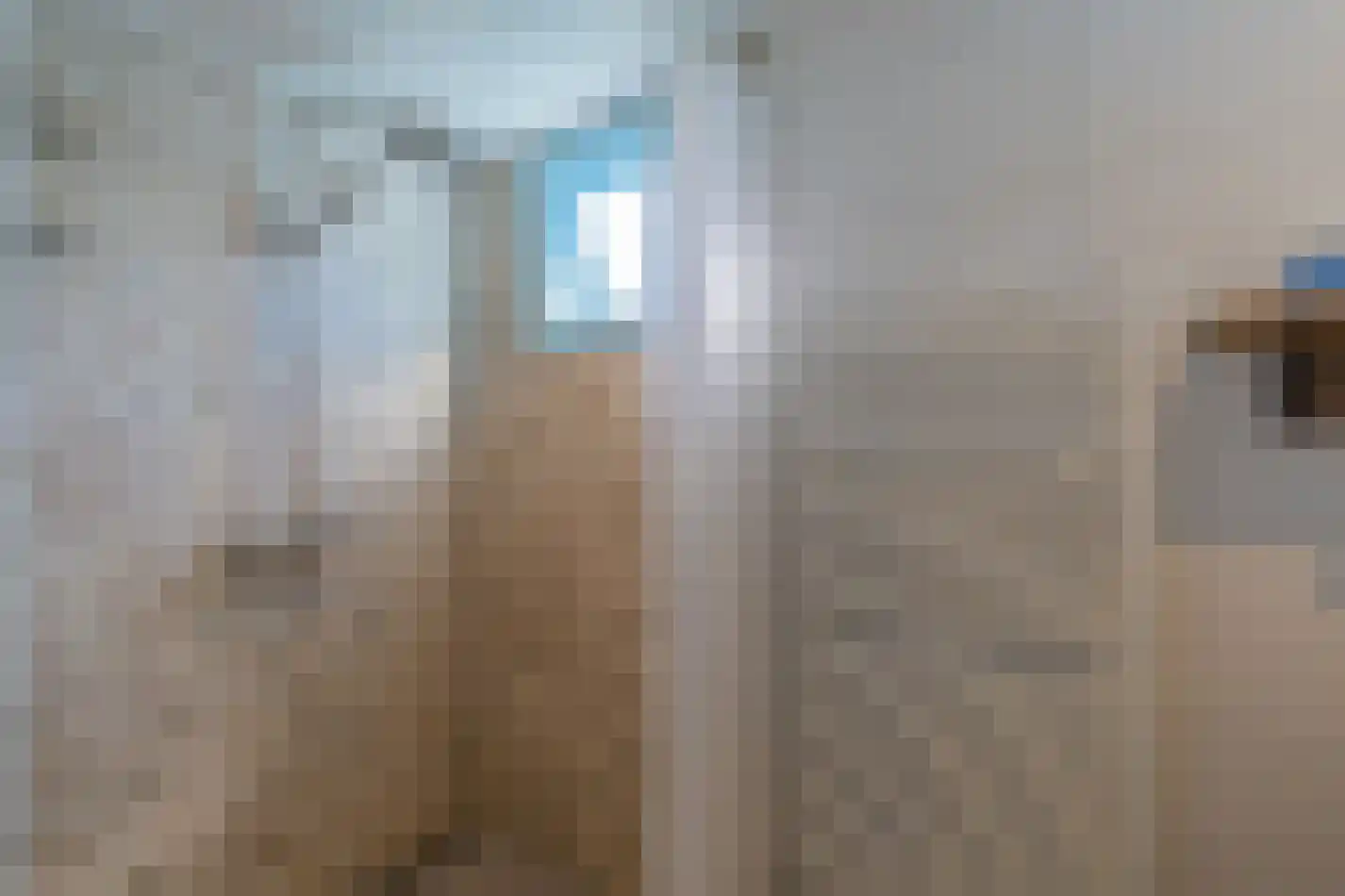 't Ongerepte 14 Renesse thumbnail 14