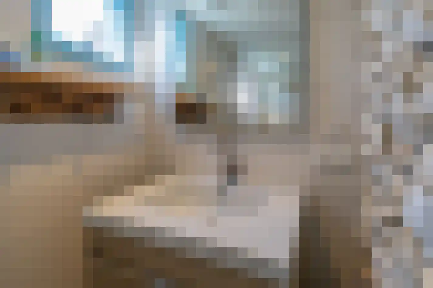 't Ongerepte 14 Renesse thumbnail 15