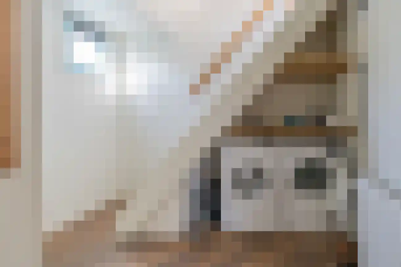 't Ongerepte 14 Renesse thumbnail 16