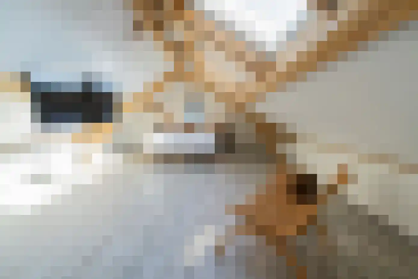 't Ongerepte 14 Renesse thumbnail 17
