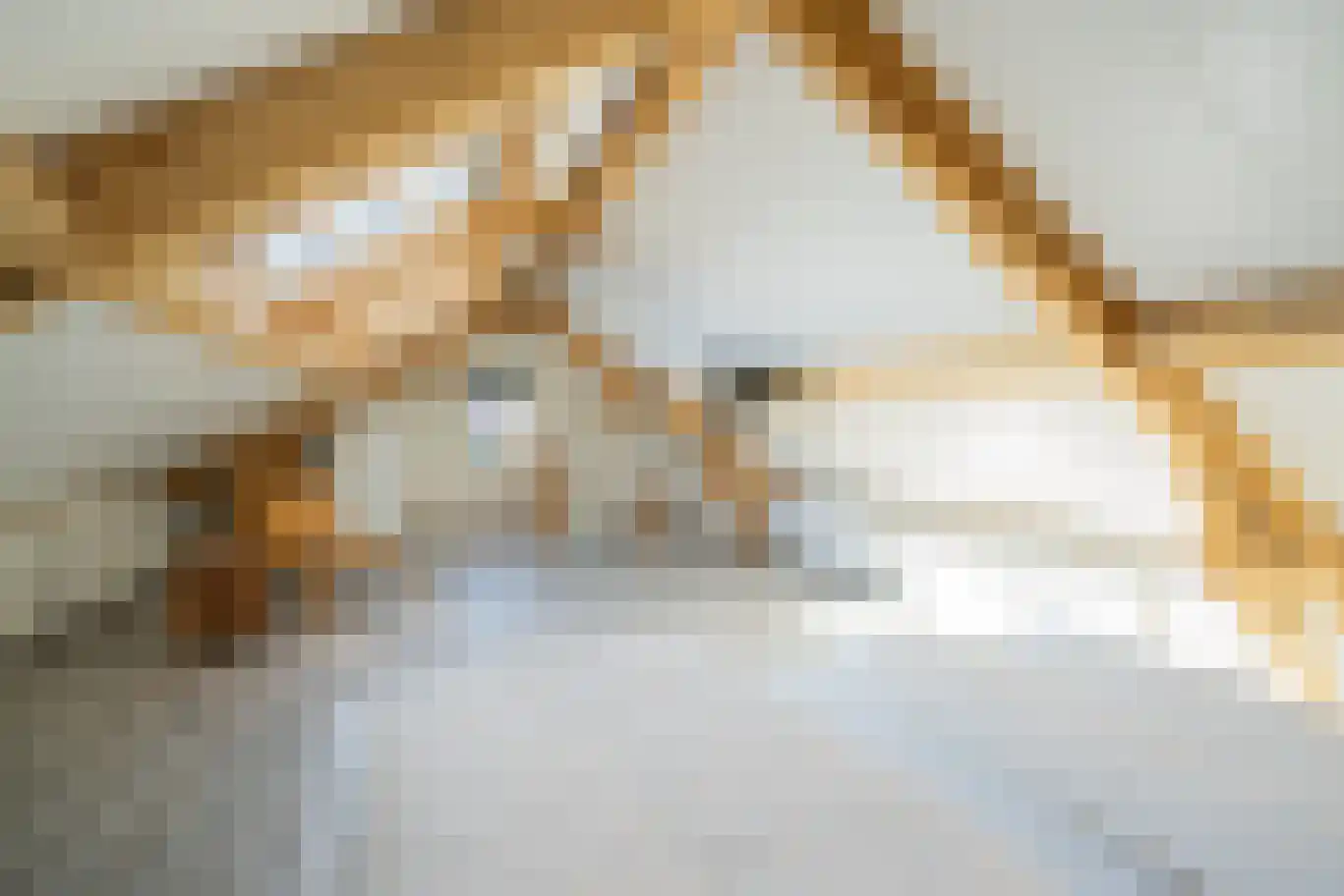 't Ongerepte 14 Renesse thumbnail 17