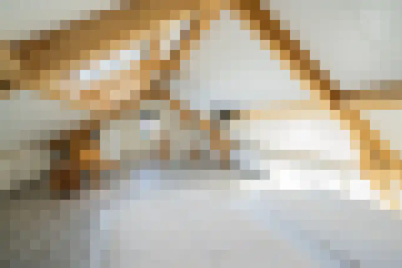 't Ongerepte 14 Renesse thumbnail 18