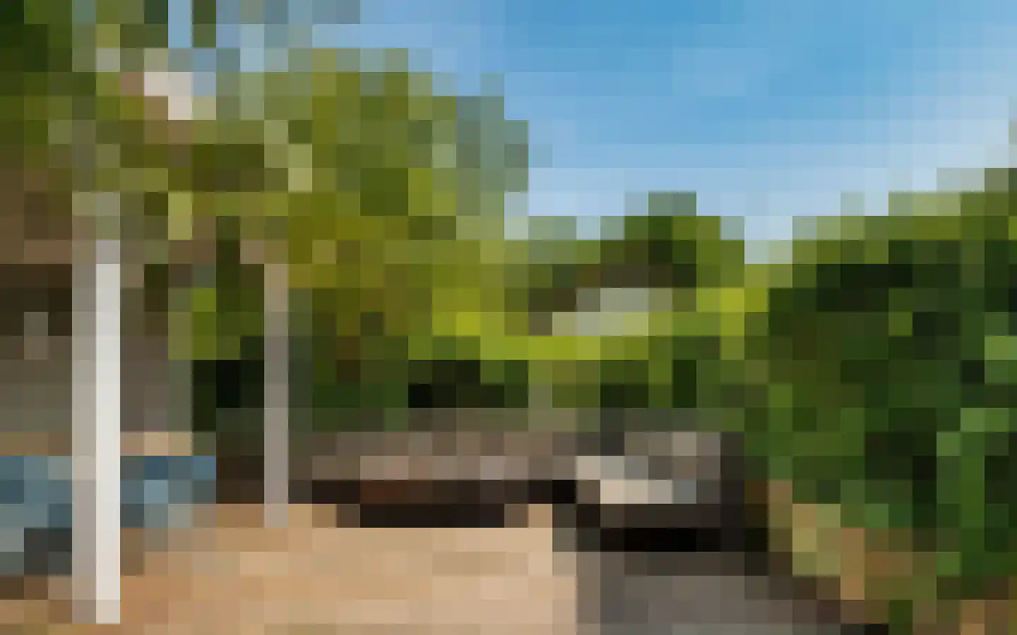 't Ongerepte 14 Renesse thumbnail 21