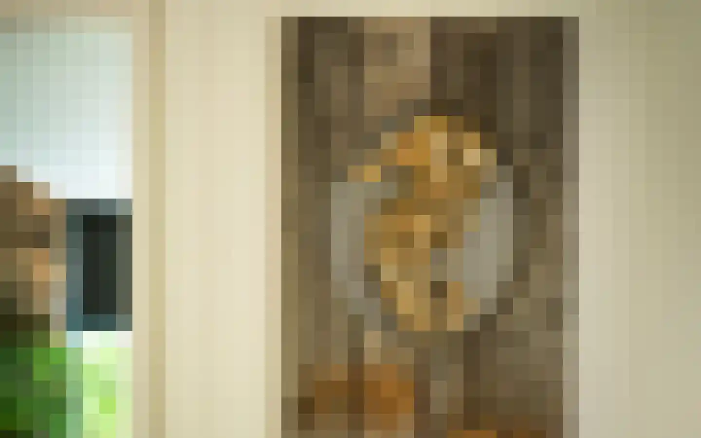 't Ongerepte 14 Renesse thumbnail 24