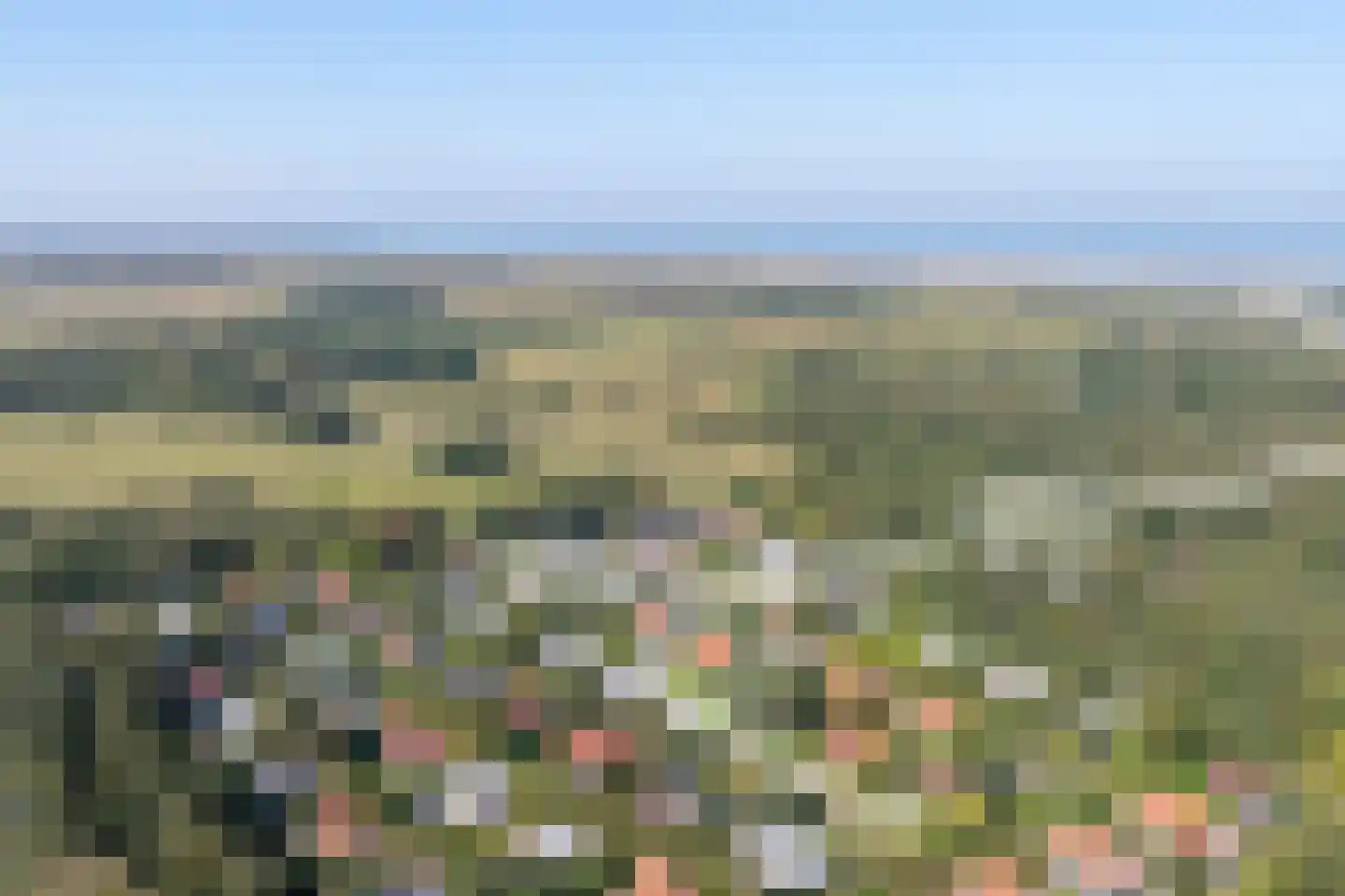 't Ongerepte 14 Renesse thumbnail 25
