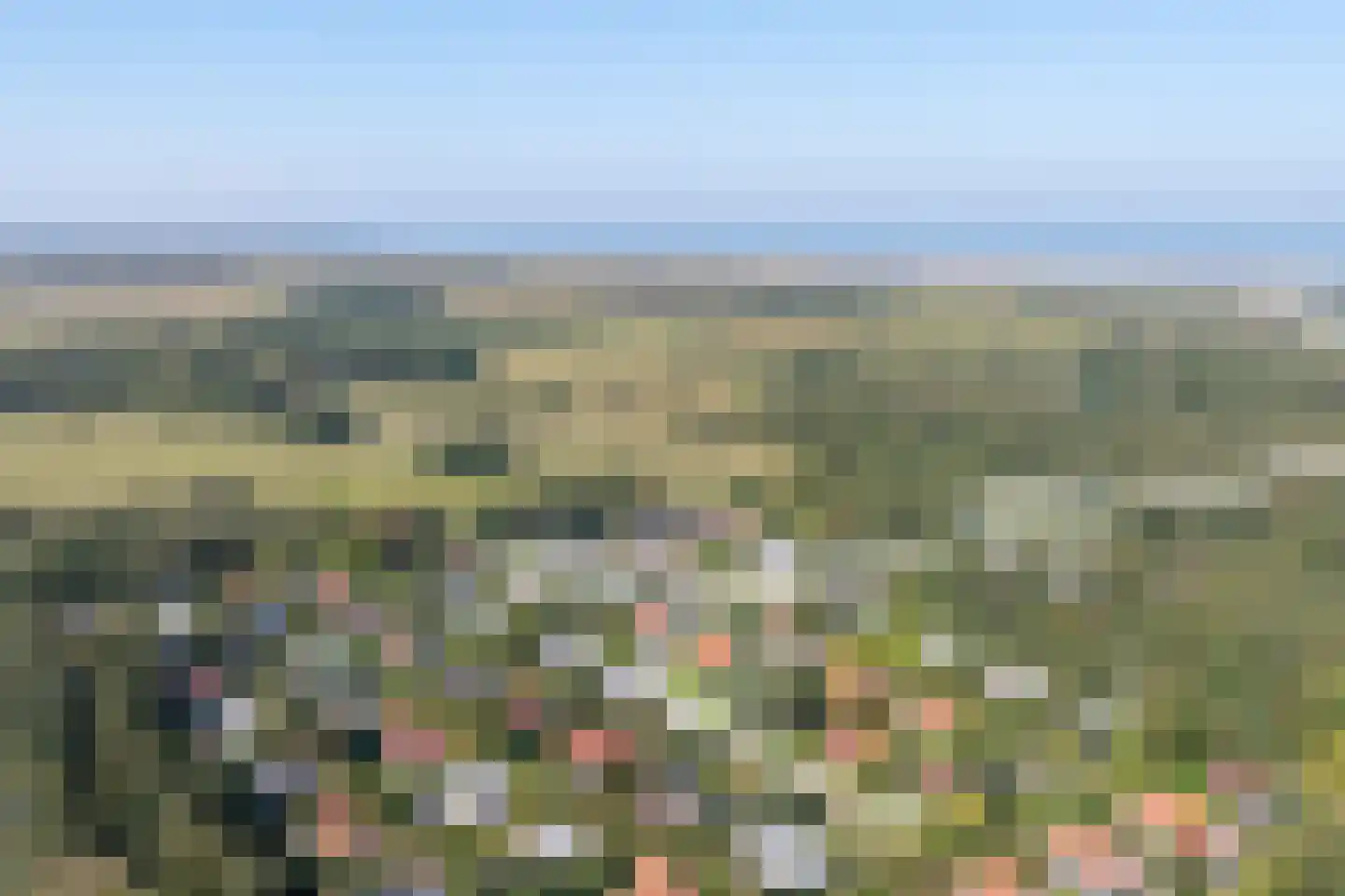 't Ongerepte 14 Renesse thumbnail 26