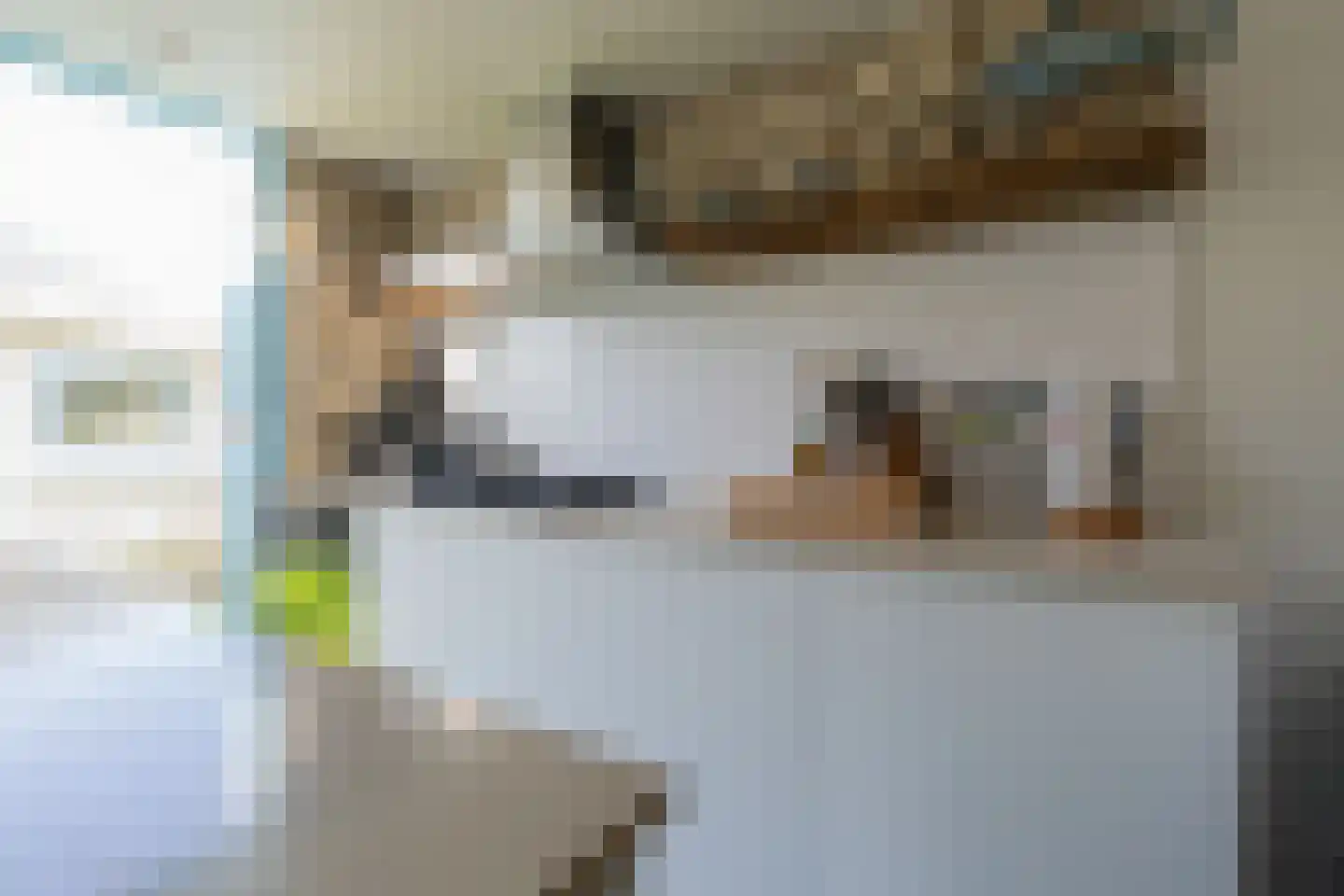 't Ongerepte 14 Renesse thumbnail 6
